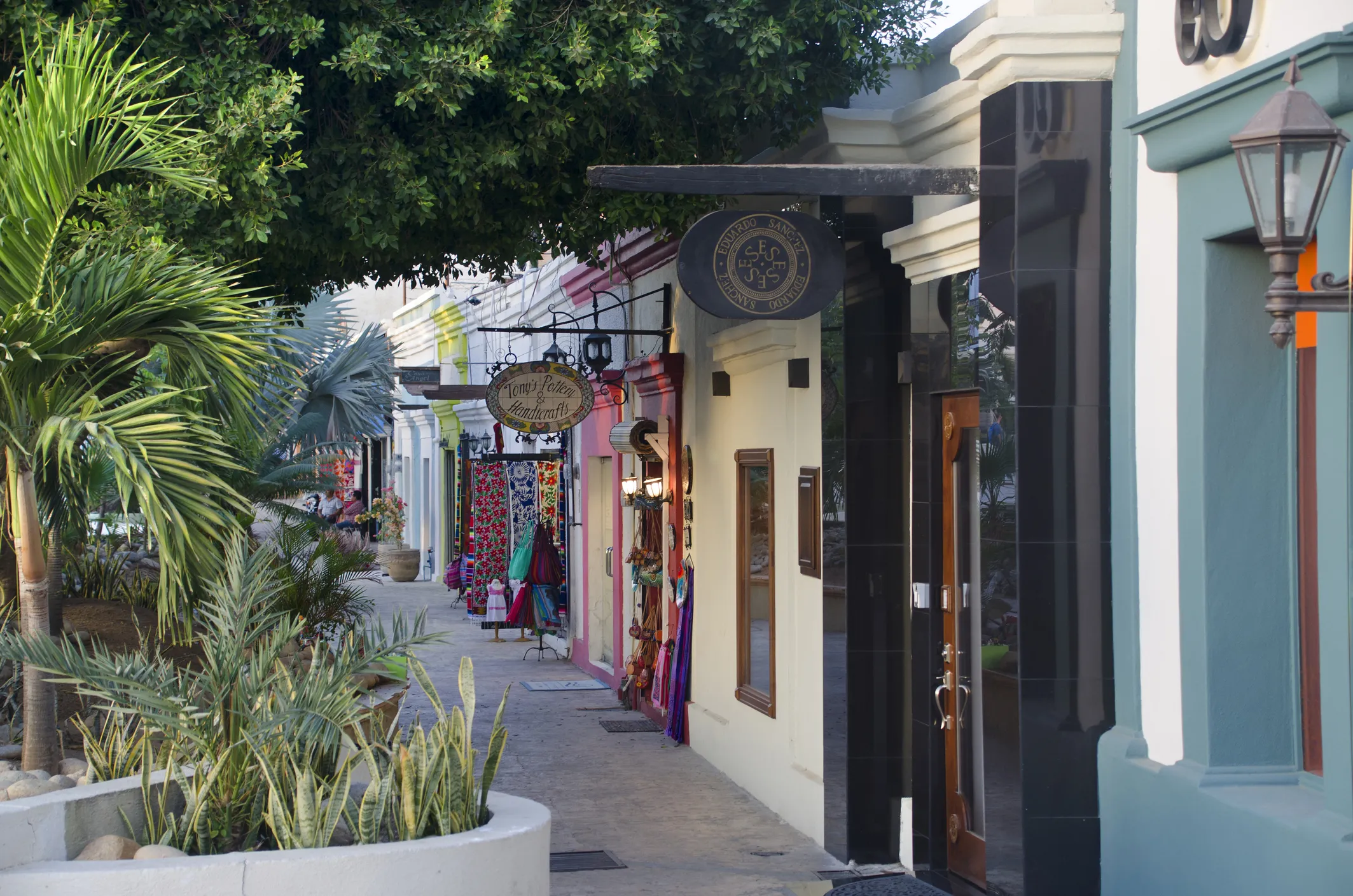 Narrow street in downtown San José del Cabo with colorful buildings and greenery.