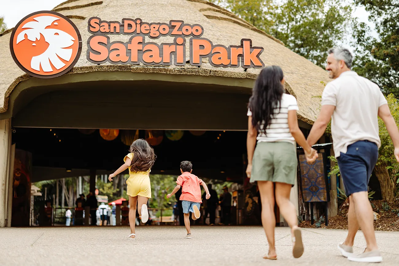 A family walks towards the entrance of the San Diego Zoo Safari Park with two children running ahead. The entrance sign features the park's name and logo.