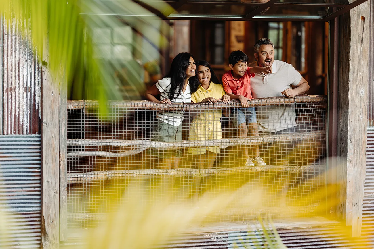 Four people stand on a wooden balcony with metal mesh fencing, looking outwards. One person points at something in the distance.