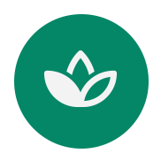 icon of three white lotus leaves on green background