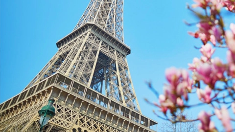 Flowers bloom in front of the Eiffel Tower